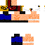 Texture for TigerMask W