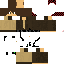 Texture for sheriff