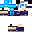 Texture for Ender