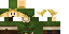 Texture for Link