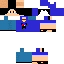 Texture for EnderDragon1O1