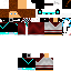 Texture for Steve