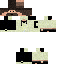 Texture for FlinT18