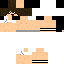 Texture for MineboyDude