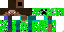 Texture for Creeper