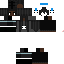 Texture for PandaKitty