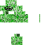 Texture for Creeper trolling
