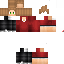 Texture for Leo