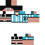 Texture for mc1