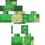 Texture for turt1e