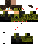Texture for FlashReverso
