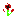 Texture for pop pop poppy