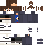 Texture for sanics