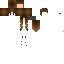 Texture for sasqua_main