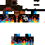Texture for robin
