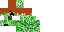 Texture for creeper