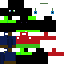 Texture for Leo