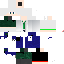 Texture for スキン