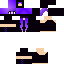 Texture for Ender