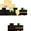 Texture for Legolas