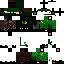 Texture for Timtom100