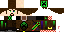 Texture for The Creeper Inside