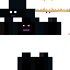 Texture for skin principal