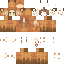 Texture for Fox