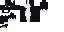 Texture for cat :3