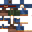 Texture for Wandering Trader