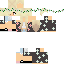 Texture for #1