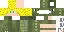 Texture for DS