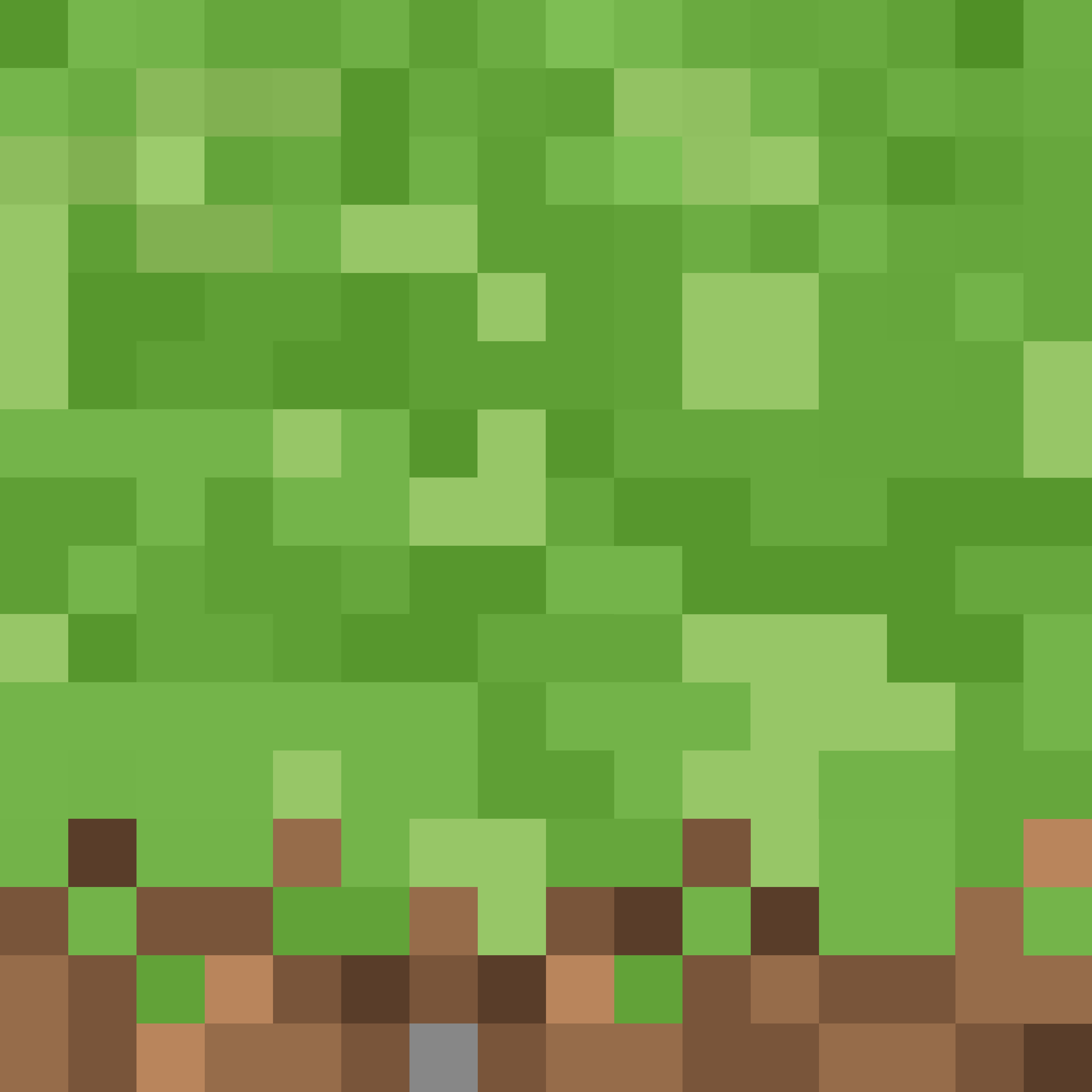 Texture for gras tex