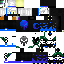 Texture for BirSuMC