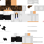 Texture for steve