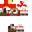 Texture for k748