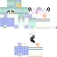 Texture for Steve