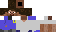 Texture for Steve