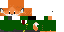 Texture for Fox