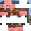 Texture for pigwithlin