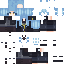 Texture for Trycsw RVL