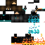 Texture for francis