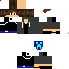 Texture for Rotir
