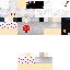Texture for steve