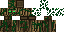 Texture for Fabiae