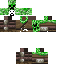 Texture for Timio1
