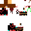 Texture for Steve