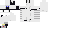 Texture for WHITE CAT