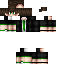 Texture for steve