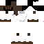 Texture for S3V3N